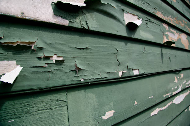 Best Storm Damage Siding Repair  in Linden, AL
