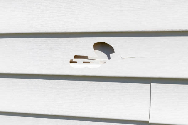 Best Weatherproofing and Sealing  in Linden, AL