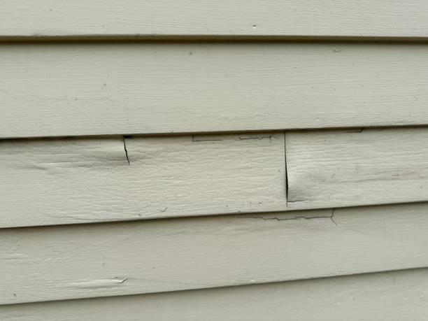 Best Siding Replacement  in Linden, AL