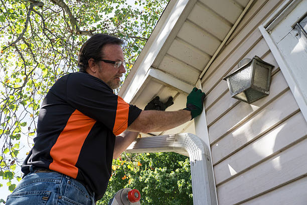 Best Insulated Siding Installation  in Linden, AL
